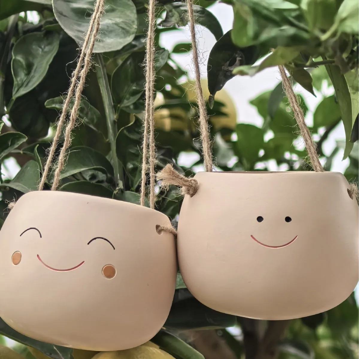 Resin Cartoon Swing Wall-Mounted Flower Pot—Creative Home Garden and Courtyard Decorative Flower Pot Multifunctional Outdoor Pot
Resin Cartoon Swing Wall-Mounted Flower Pot—Creative Home Garden and Courtyard Decorative Flower Pot Multifunctional Outdoor Pot