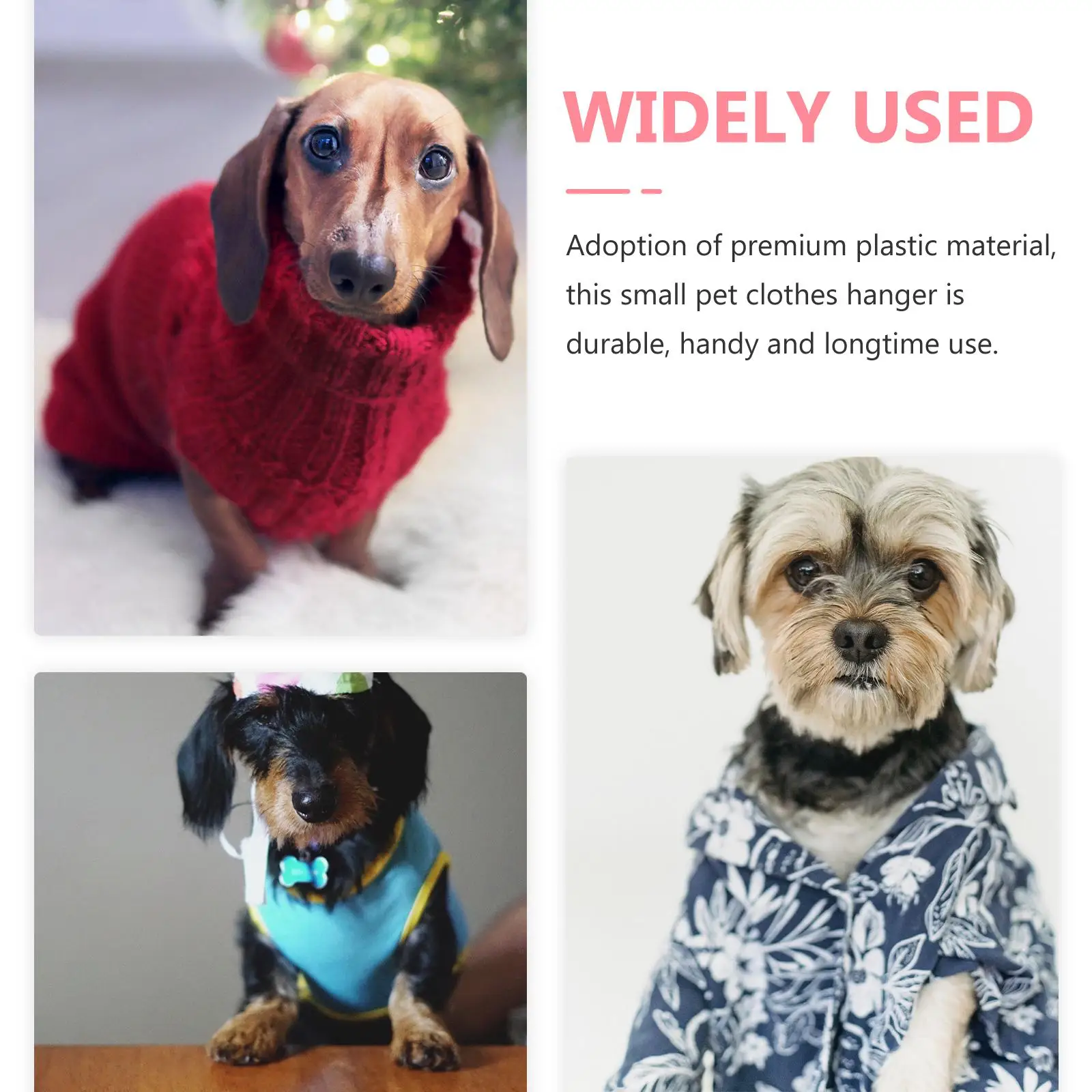 10 Pcs Dog Clothes Hangers Plastic Pet Clothing Rack Lightweight Reliable Portable Practical Small Design
10 Pcs Dog Clothes Hangers Plastic Pet Clothing Rack Lightweight Reliable Portable Practical Small Design