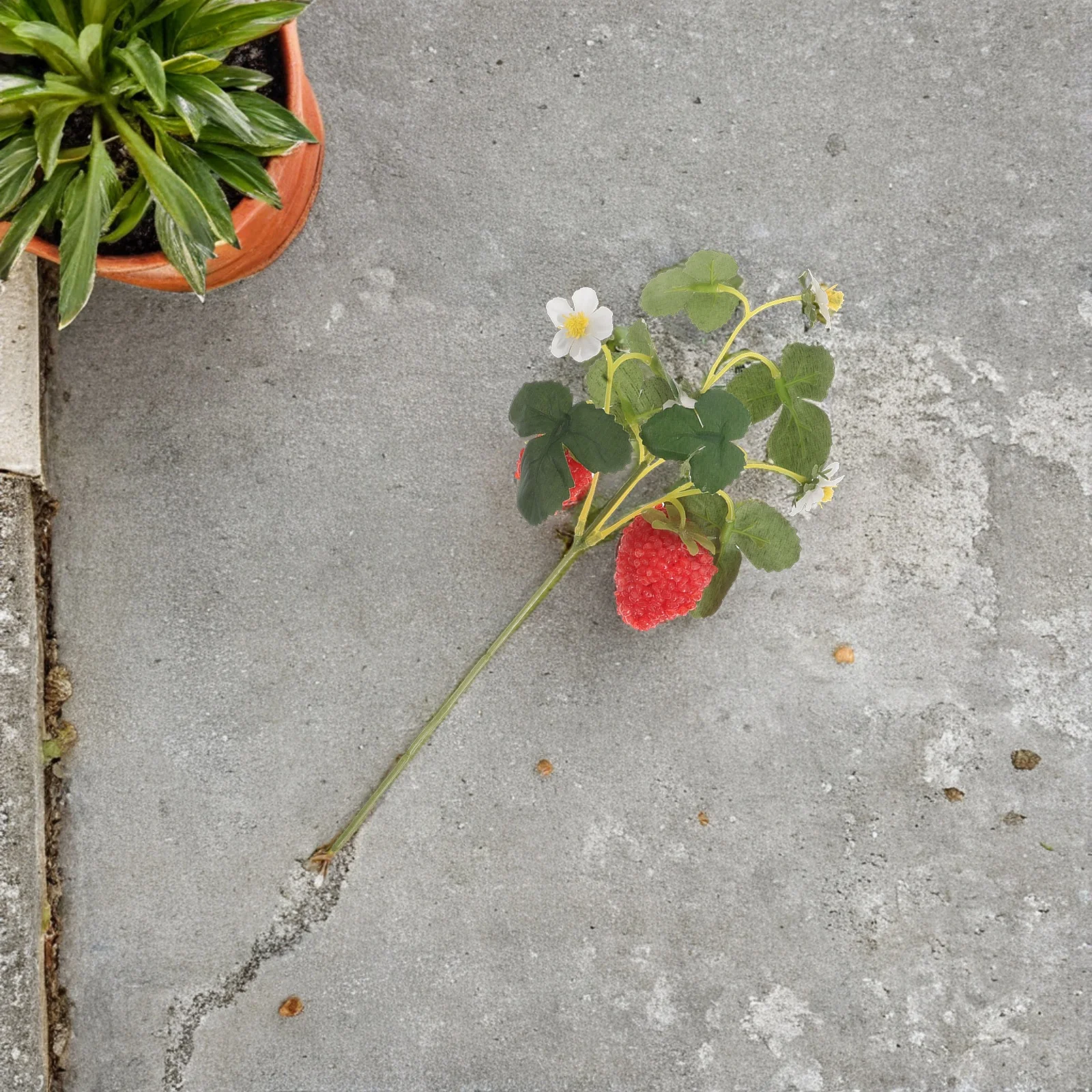 5Pcs Fake Artificial Strawberry Branch Picks Simulation Fruit Plants Photo Props Home Garden Floral Decor Fake Fruit Pick 
5Pcs Fake Artificial Strawberry Branch Picks Simulation Fruit Plants Photo Props Home Garden Floral Decor Fake Fruit Pick