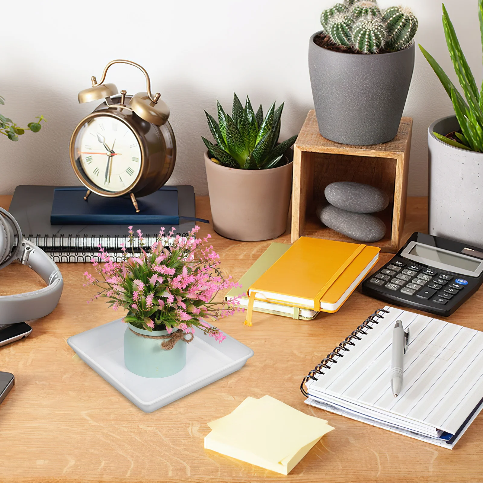 2Pcs Plastic Plant Saucers Square Shape for Potted Plants Leak Proof Base Drip Collector Garden Decor
2Pcs Plastic Plant Saucers Square Shape for Potted Plants Leak Proof Base Drip Collector Garden Decor