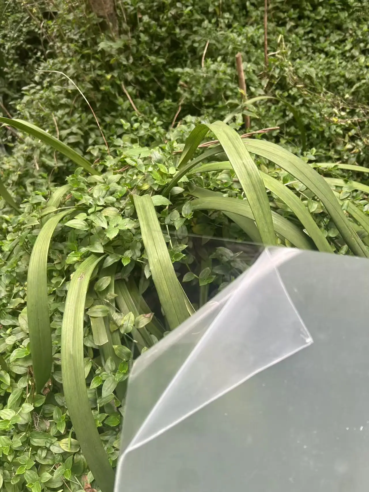 High transparency acrylic board, organic glass board, frosted board, milk white board, lighting board, PMMAPVCPET panel
High transparency acrylic board, organic glass board, frosted board, milk white board, lighting board, PMMAPVCPET panel