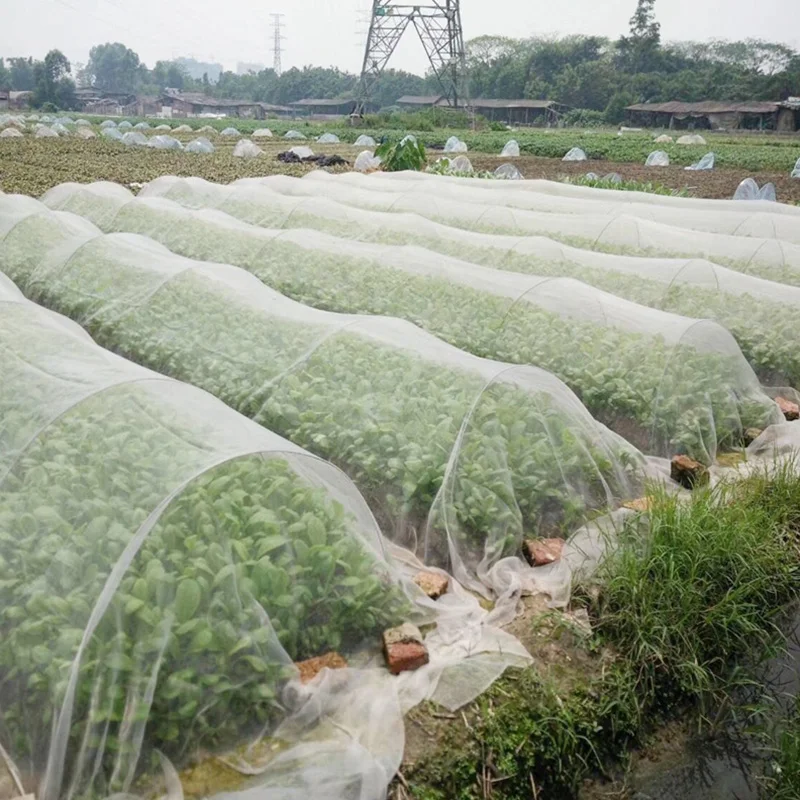 Special Insect Proof Net for Vegetable Planting Greenhouse Gauze Net Vegetable Field Fruit Tree Cherry Bird Proof Cover
Special Insect Proof Net for Vegetable Planting Greenhouse Gauze Net Vegetable Field Fruit Tree Cherry Bird Proof Cover