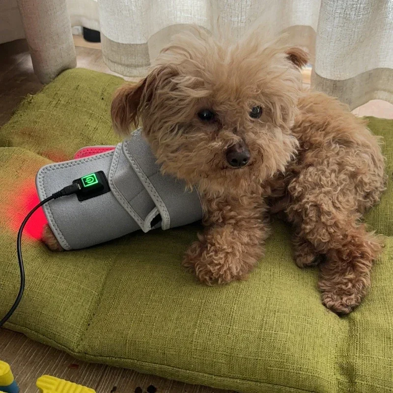 LED Red Infrared Light Dog Clothes Animal pain relief Therapy Wrap Belt Dog Coat for Pet back 660nm 850nm
LED Red Infrared Light Dog Clothes Animal pain relief Therapy Wrap Belt Dog Coat for Pet back 660nm 850nm