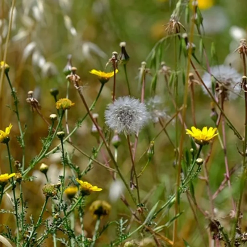 115 мм обод колеса и шины RC шина 17 мм шестигранник для деталей радиоуправляемого автомобиля внедорожный багги 1/8 ARRMA TYPHON KYOSHO HSP обновленные детали
115 мм обод колеса и шины RC шина 17 мм шестигранник для деталей радиоуправляемого автомобиля внедорожный багги 1/8 ARRMA TYPHON KYOSHO HSP обновленные детали
