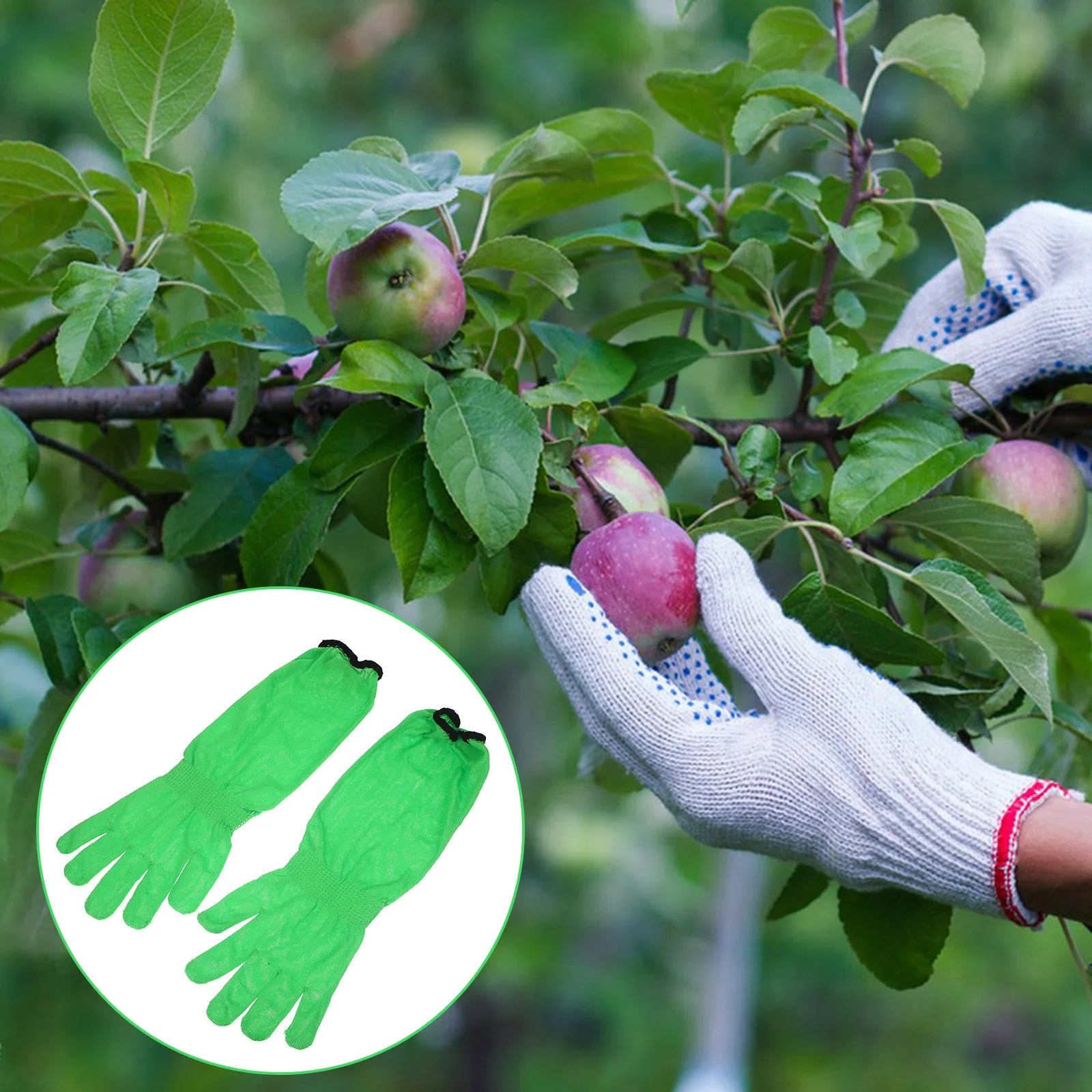 1Pair Cut Resistant Gloves Puncture Proof Breathable Durable Gardening Work Safety Arm Guards Arm Guards for Biting
1Pair Cut Resistant Gloves Puncture Proof Breathable Durable Gardening Work Safety Arm Guards Arm Guards for Biting