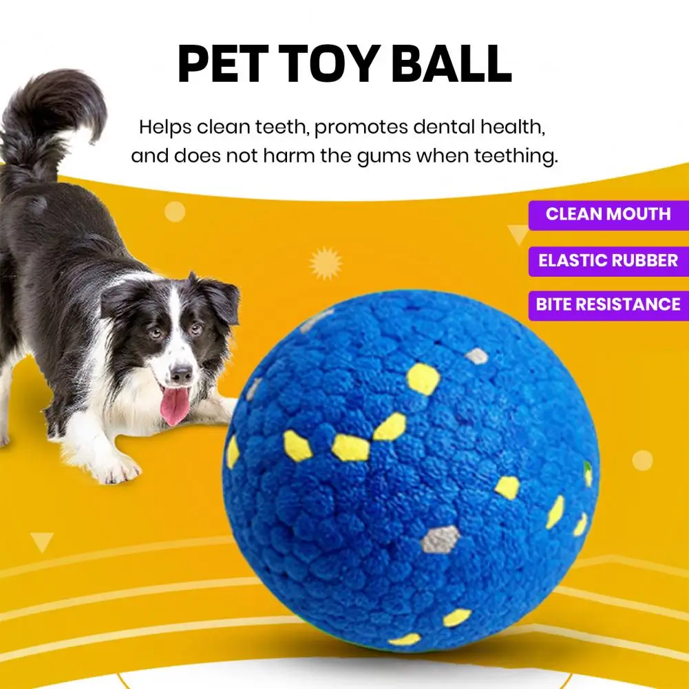 Pet Toy Ball Launcher Durable Dog Tennis Ball for Chewers Fetch Toy for Outdoor Fun Water Toy for Medium Small Dogs Bite-proof
Pet Toy Ball Launcher Durable Dog Tennis Ball for Chewers Fetch Toy for Outdoor Fun Water Toy for Medium Small Dogs Bite-proof