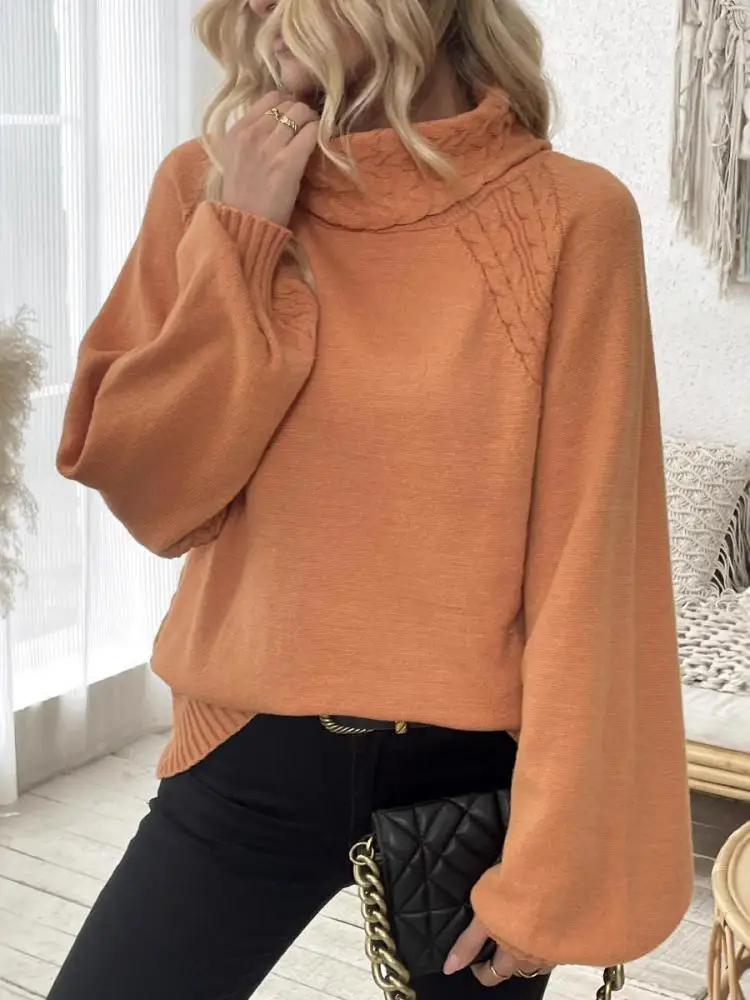 Women's Orange Long Sleeve Pullover Sweater Autumn Winter High Neck Holiday Knitted Short Tops 2025 Fashion Versatile Streetwear
Women's Orange Long Sleeve Pullover Sweater Autumn Winter High Neck Holiday Knitted Short Tops 2025 Fashion Versatile Streetwear