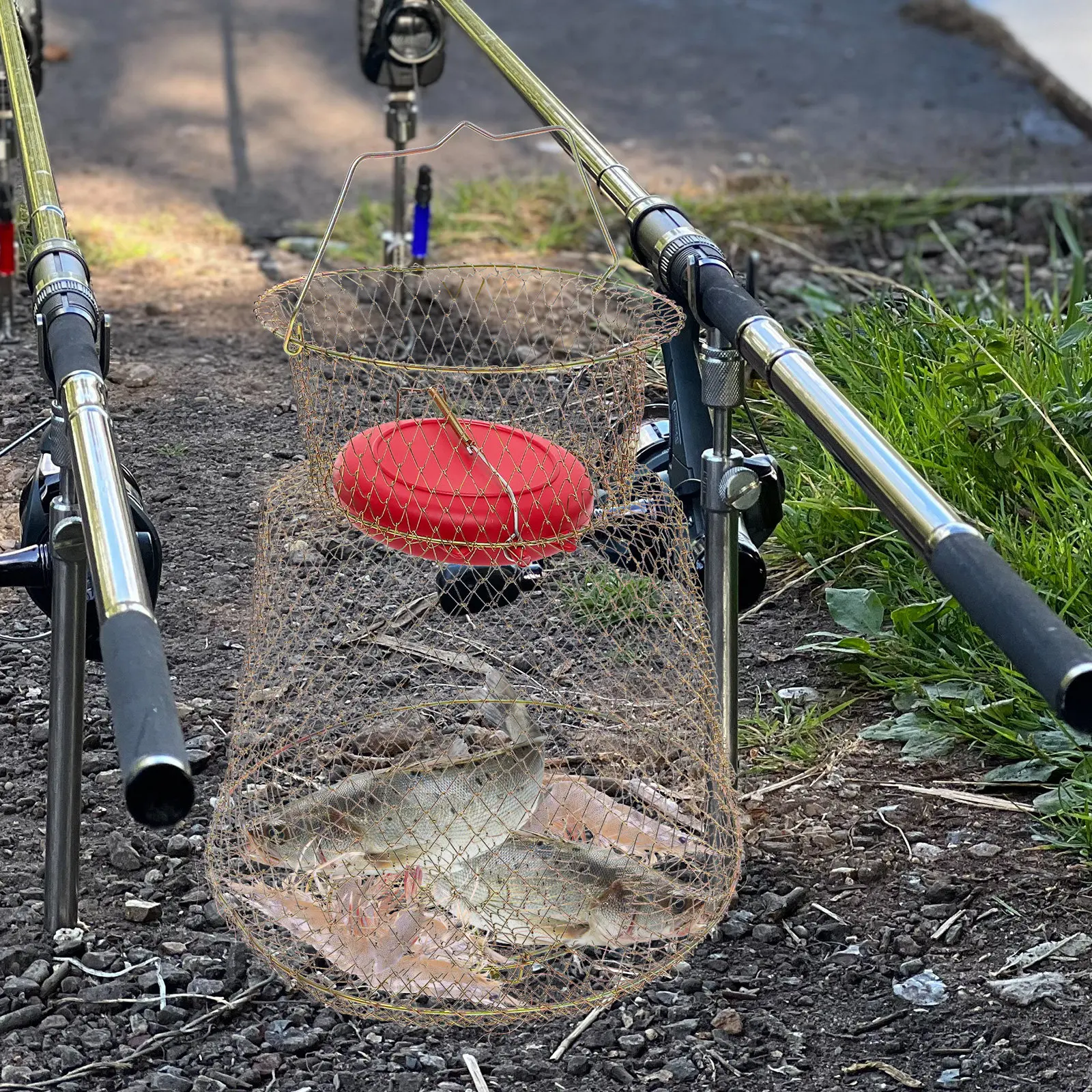 Lightweight Portable Fishing Basket Iron Mesh Fish Guard Cage with Floating Top for Live Fish Storage Large Capacity Fishing Net
Lightweight Portable Fishing Basket Iron Mesh Fish Guard Cage with Floating Top for Live Fish Storage Large Capacity Fishing Net