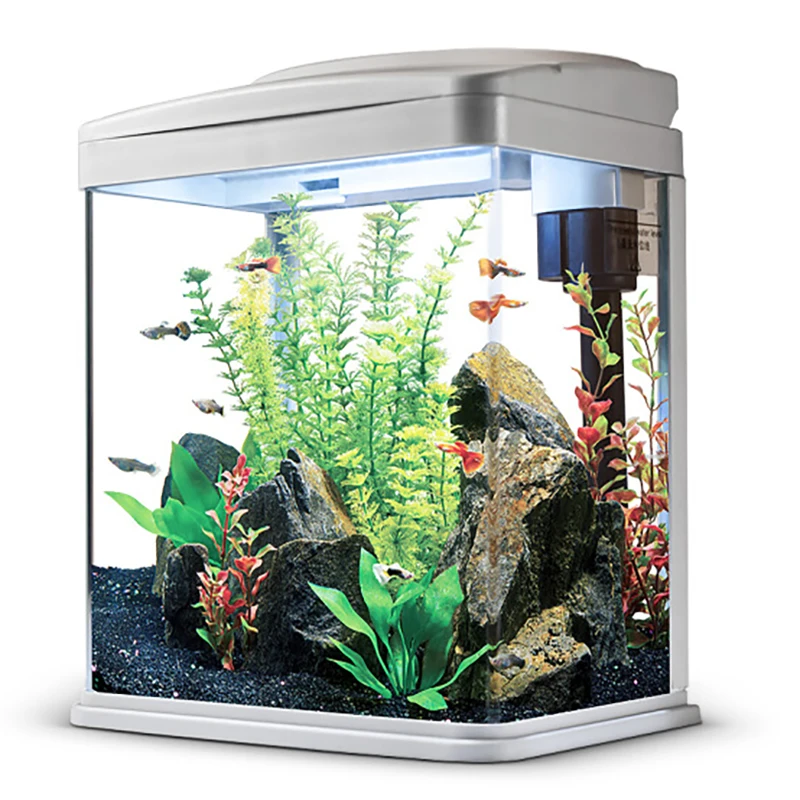 Маленький верхний фильтр, тропический аквариум для дома, серия R-310, украшение дома, летний аквариум для гостиной, квадратный стеклянный аквариум 240 л
Маленький верхний фильтр, тропический аквариум для дома, серия R-310, украшение дома, летний аквариум для гостиной, квадратный стеклянный аквариум 240 л