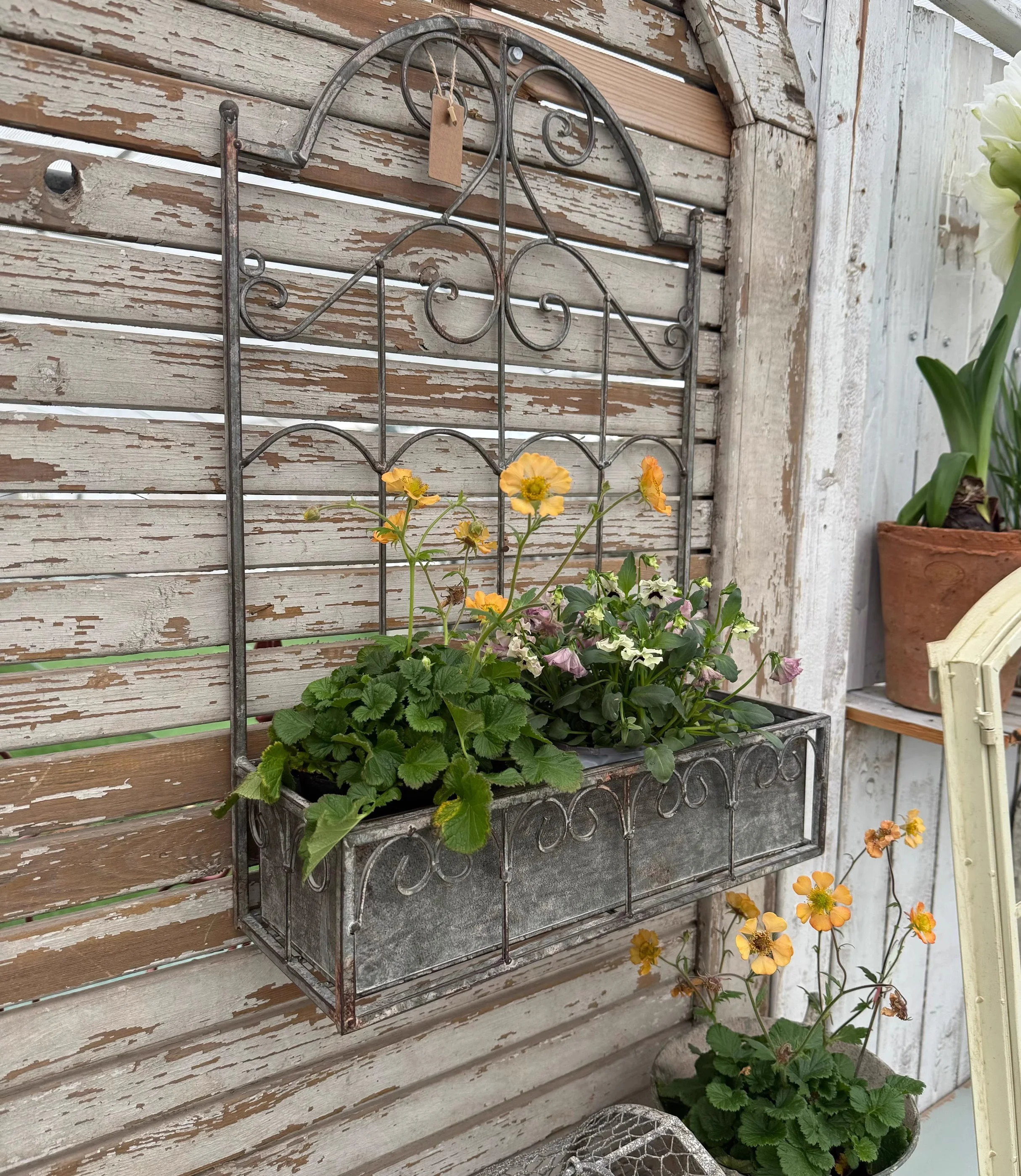 Vintage Metal Wall Planter with Trellis, Garden Flower Box with Scrollwork, 57.5H x 40W x 14.5D cm, Distressed Gray
Vintage Metal Wall Planter with Trellis, Garden Flower Box with Scrollwork, 57.5H x 40W x 14.5D cm, Distressed Gray