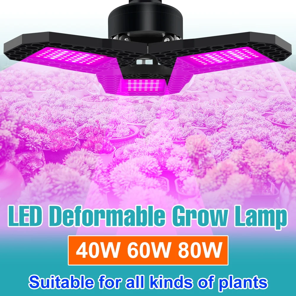 80W LED Foldable Plant Grow Light Bulb Full Spectrum Hydroponics Fill Lamp E27 Greenhouse Tent Flowers Vegs Cultivation Lighting
80W LED Foldable Plant Grow Light Bulb Full Spectrum Hydroponics Fill Lamp E27 Greenhouse Tent Flowers Vegs Cultivation Lighting