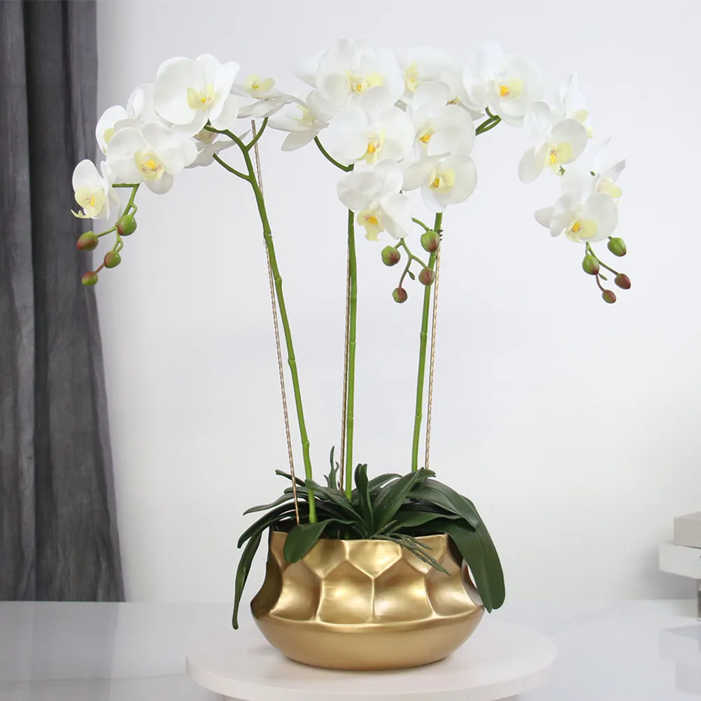 Iron Flower Pot Modern Rustic Planter Metal Vase Decorative Outdoor Indoor Succulent Container Balcony Desktop Plant Pot Golden
Iron Flower Pot Modern Rustic Planter Metal Vase Decorative Outdoor Indoor Succulent Container Balcony Desktop Plant Pot Golden