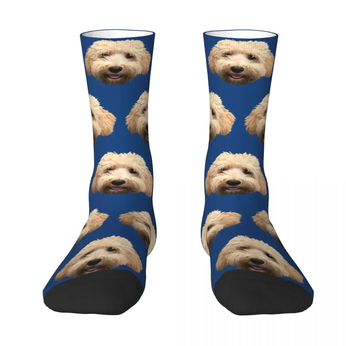 Skarpetki Rosie The Goldendoodle Harajuku Super miękkie pończochy Długie skarpetki całoroczne Akcesoria na prezenty unisex
Skarpetki Rosie The Goldendoodle Harajuku Super miękkie pończochy Długie skarpetki całoroczne Akcesoria na prezenty unisex
