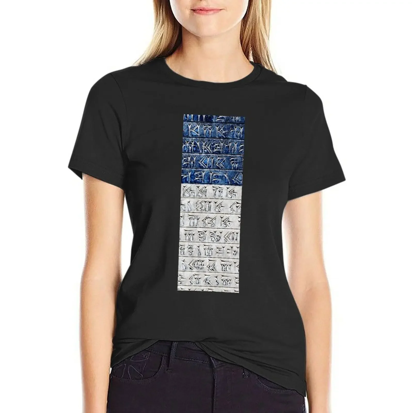 Persian Cuneiform Inscription T-Shirt Aesthetic clothing sports fans plain Womens graphic t shirts
Persian Cuneiform Inscription T-Shirt Aesthetic clothing sports fans plain Womens graphic t shirts