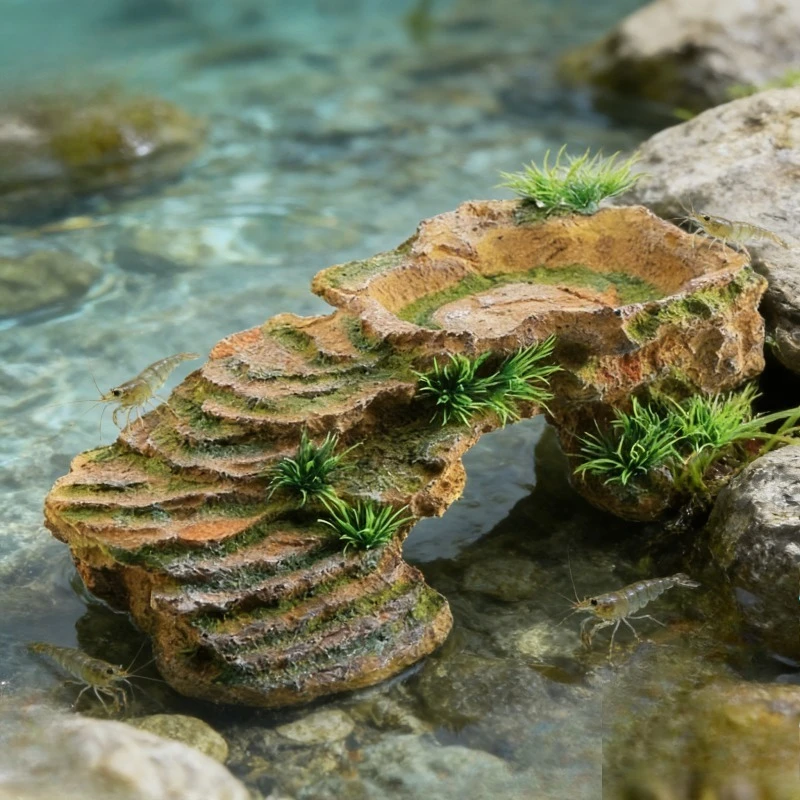 Reptile Hideout Cave Simulation Tree Trunk Bark Habitat Decor for Fish Tank Aquarium Spider Snake Tortoise Lizard Terrarium
Reptile Hideout Cave Simulation Tree Trunk Bark Habitat Decor for Fish Tank Aquarium Spider Snake Tortoise Lizard Terrarium