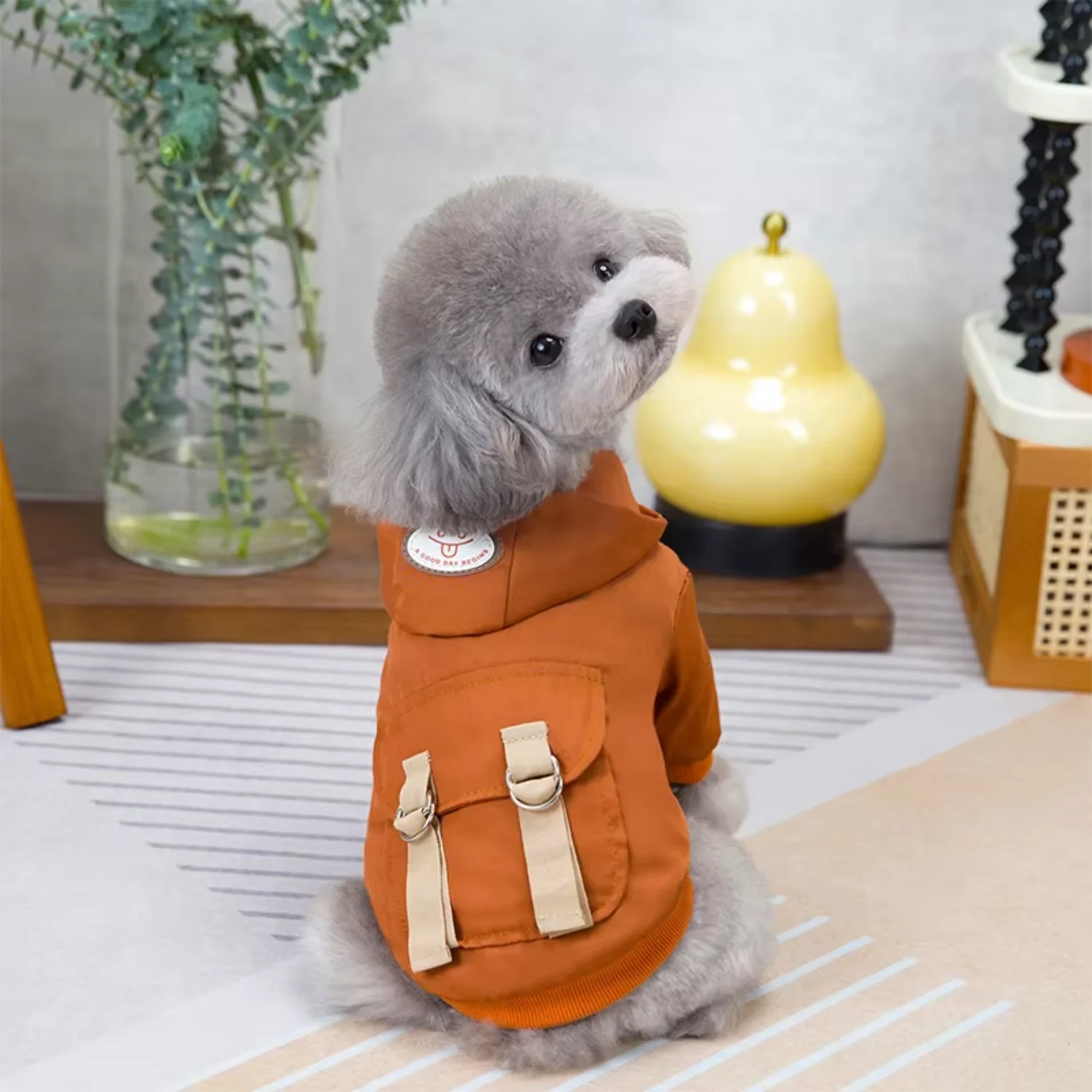 Outdoor Durable Print Luxury Dog Hoodie Style Pet Clothes With Pocket Dog Clothes
Outdoor Durable Print Luxury Dog Hoodie Style Pet Clothes With Pocket Dog Clothes