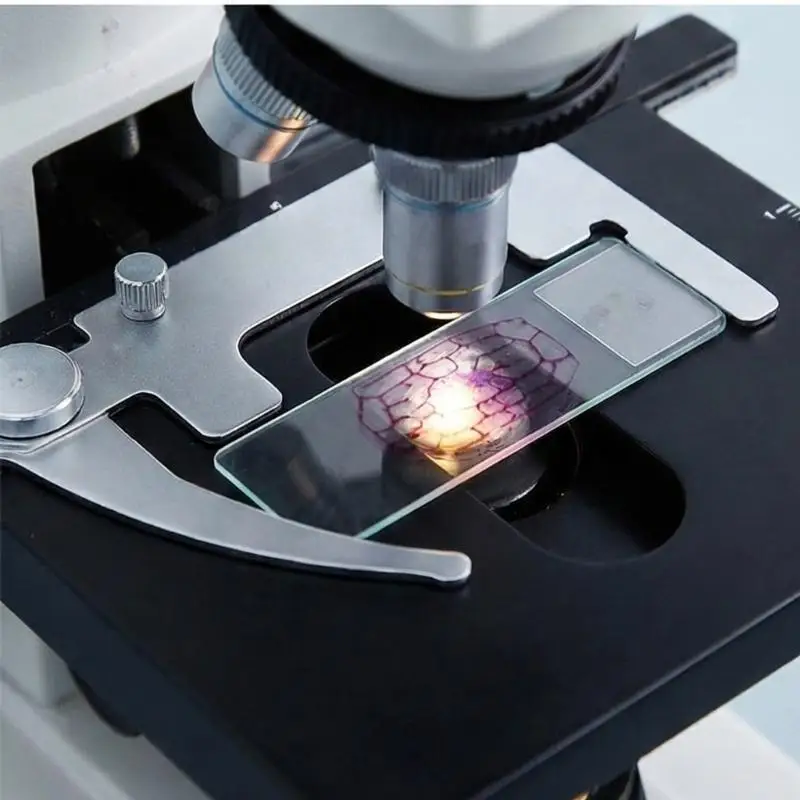 Y1UD Набор из 50 стеклянных предметных стекол для DIY-проектов по биологии и науке Предварительно очищенные поверхности
Y1UD Набор из 50 стеклянных предметных стекол для DIY-проектов по биологии и науке Предварительно очищенные поверхности