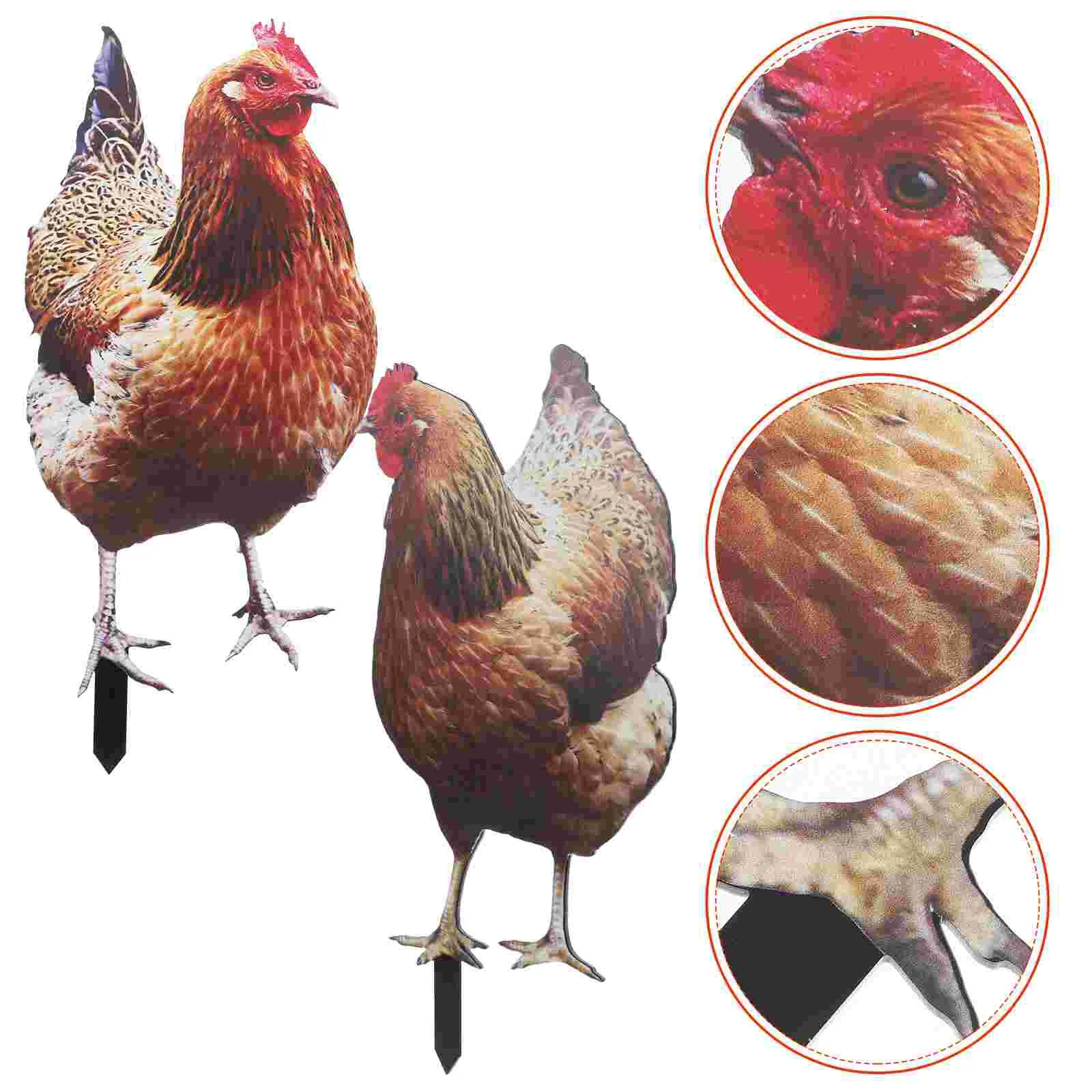 2 Pcs Chicken Garden Decoration Sign Yards Decorative Lawn Hen Stake Acrylic Ornament
2 Pcs Chicken Garden Decoration Sign Yards Decorative Lawn Hen Stake Acrylic Ornament