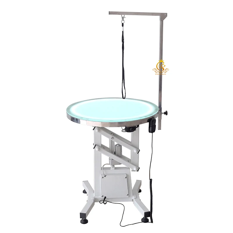 EUR PET Illuminated Portable Desktop 360° Rotation Steel Custom Pet Electric Lifting Beauty Dog Grooming Table for Dogs
EUR PET Illuminated Portable Desktop 360° Rotation Steel Custom Pet Electric Lifting Beauty Dog Grooming Table for Dogs