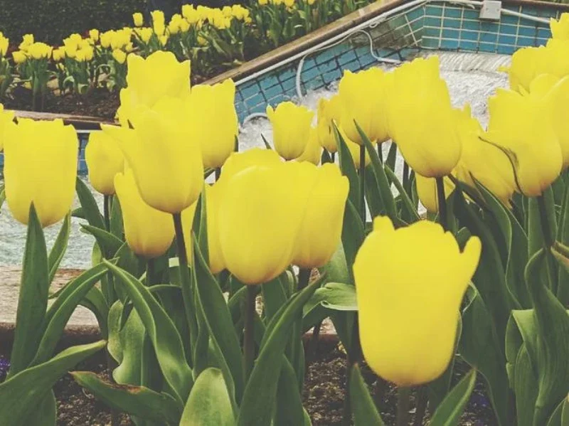 Силиконовый ящик для хранения 2025 ДЛЯ Jetour Zongheng G700, модификация центральной консоли, противоскользящая накладка, аксессуары, органайзер, украшение
Силиконовый ящик для хранения 2025 ДЛЯ Jetour Zongheng G700, модификация центральной консоли, противоскользящая накладка, аксессуары, органайзер, украшение