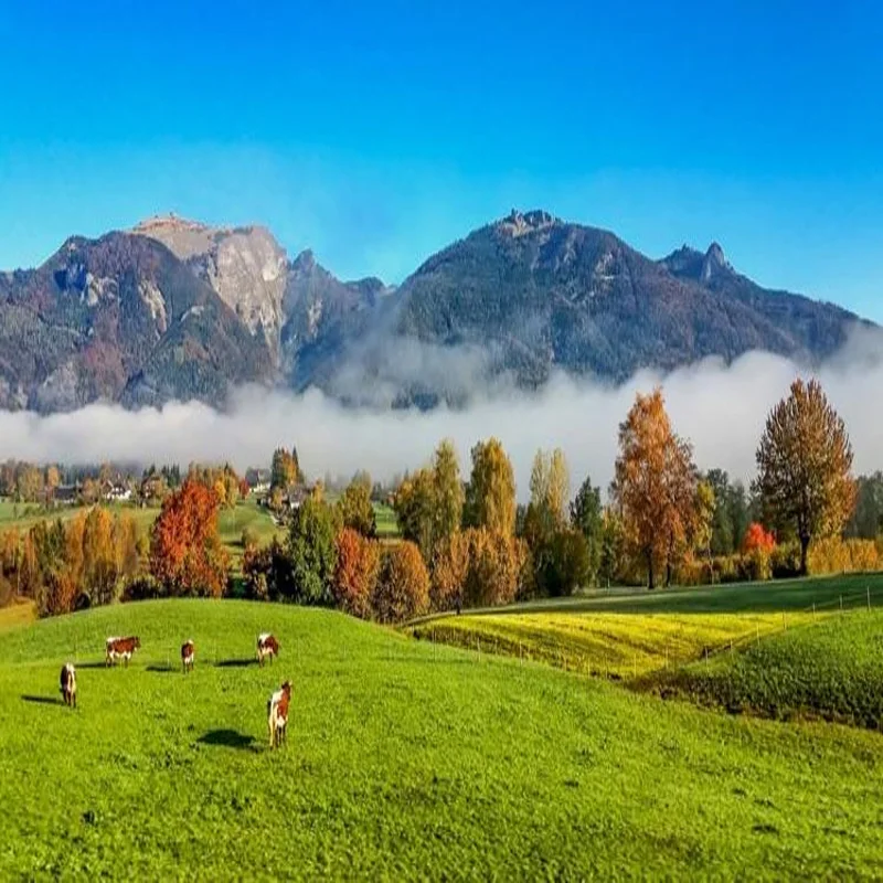 For Land Rover Discovery 3 4 2006-2016 Window B C Pillar Post Cover Trim Stickers Door Column Decorative Exterior Accessories
For Land Rover Discovery 3 4 2006-2016 Window B C Pillar Post Cover Trim Stickers Door Column Decorative Exterior Accessories