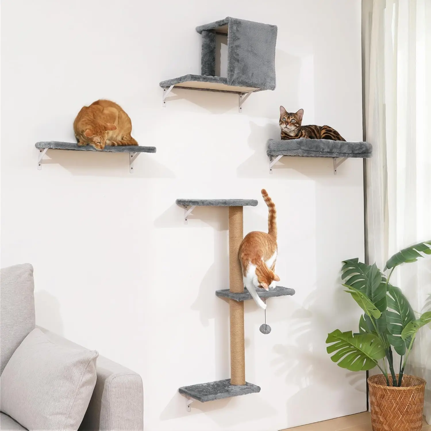 Gray Wooden Cat Wall Shelves for 16 Inch Drywall, Stable and Safe for Kitten Climbing
Gray Wooden Cat Wall Shelves for 16 Inch Drywall, Stable and Safe for Kitten Climbing