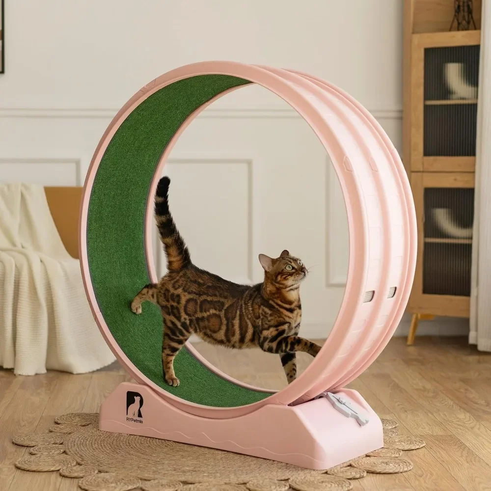 Cat Exercise Wheel, Cats Treadmill for Indoor, Cat Running Wheel with Carpeted Runway, Easy to Install & Fitness &Health,
Cat Exercise Wheel, Cats Treadmill for Indoor, Cat Running Wheel with Carpeted Runway, Easy to Install & Fitness &Health,