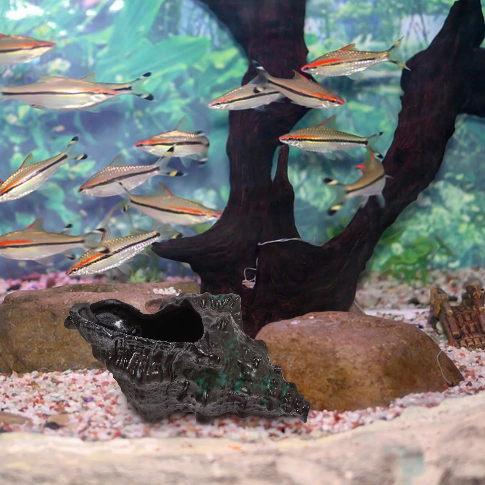 Ceramic Conch Water Fountain for Garden Patio Decor Outdoor Indoor Use Creative Landscape Feature Small Fountain for Yard
Ceramic Conch Water Fountain for Garden Patio Decor Outdoor Indoor Use Creative Landscape Feature Small Fountain for Yard