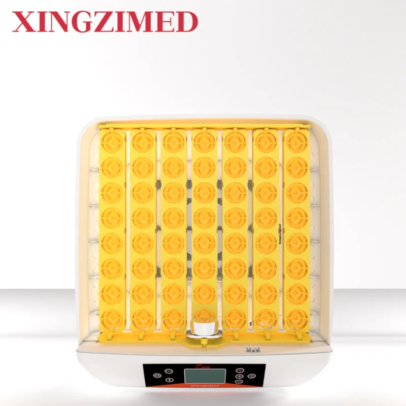 50 Eggs Incubator EW-56S Egg Tray Plastic Incubator with Tester for Resale
50 Eggs Incubator EW-56S Egg Tray Plastic Incubator with Tester for Resale