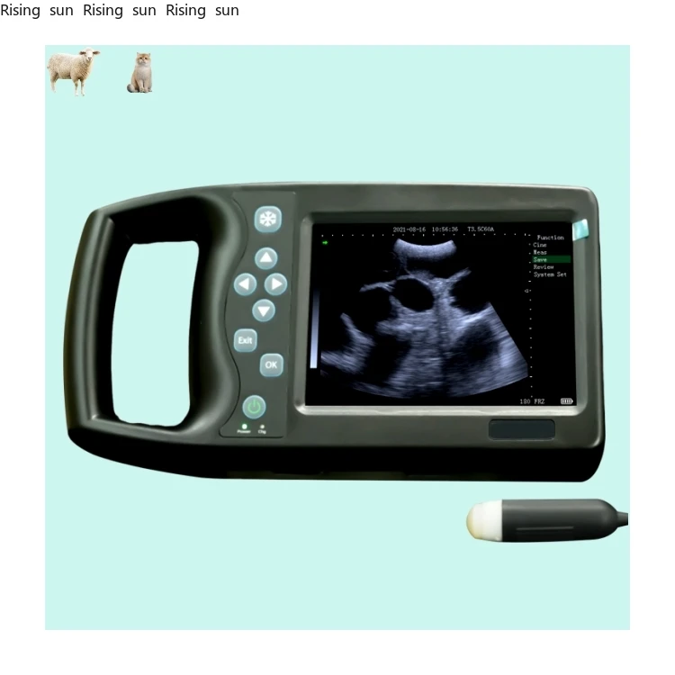 5.7-Inch Backfat Cheap Price Pet Animal Handheld Vet Veterinary Test Instrument Handheld Vet
5.7-Inch Backfat Cheap Price Pet Animal Handheld Vet Veterinary Test Instrument Handheld Vet