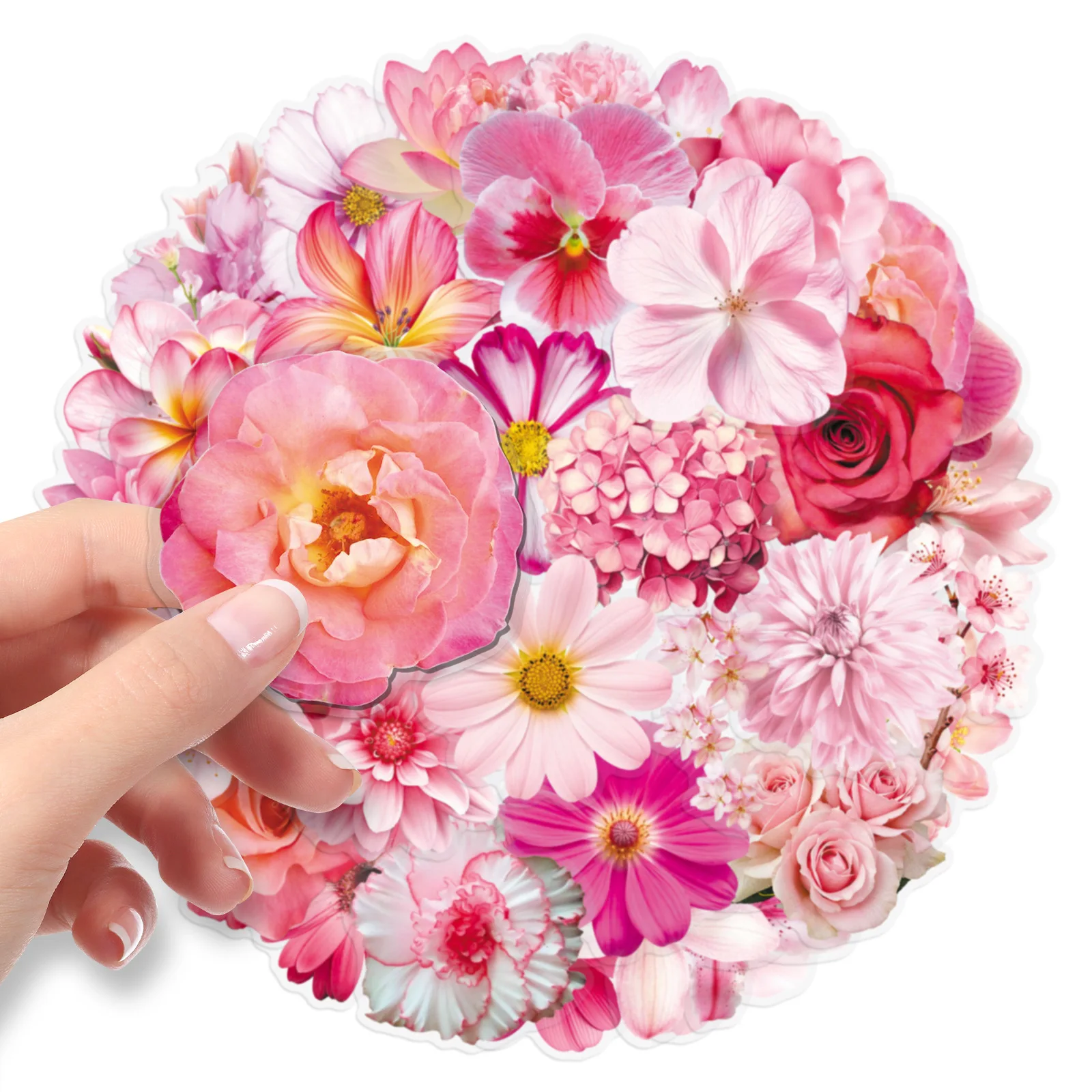 10/50PCS Transparent Flower Petal Powder Graffiti Stickers Realistic Pink Flowers Plants Sticker for Stationery DIY Toys Secret
10/50PCS Transparent Flower Petal Powder Graffiti Stickers Realistic Pink Flowers Plants Sticker for Stationery DIY Toys Secret