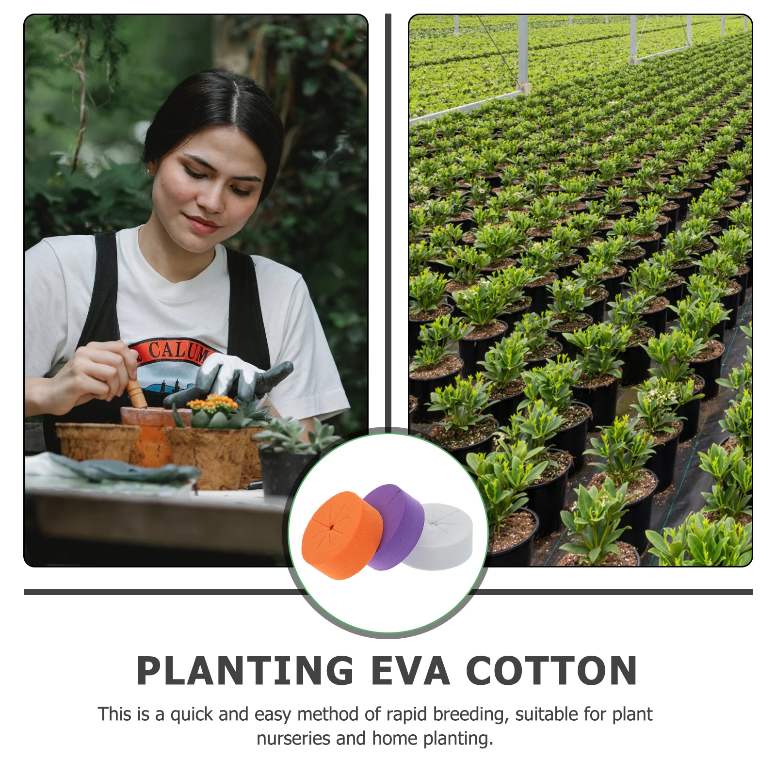 120Pcs Clone Collars Eva Planting Blocks Plant Nutrient Blocks High Transplant Success Rate Garden Soilless Cultivation
120Pcs Clone Collars Eva Planting Blocks Plant Nutrient Blocks High Transplant Success Rate Garden Soilless Cultivation