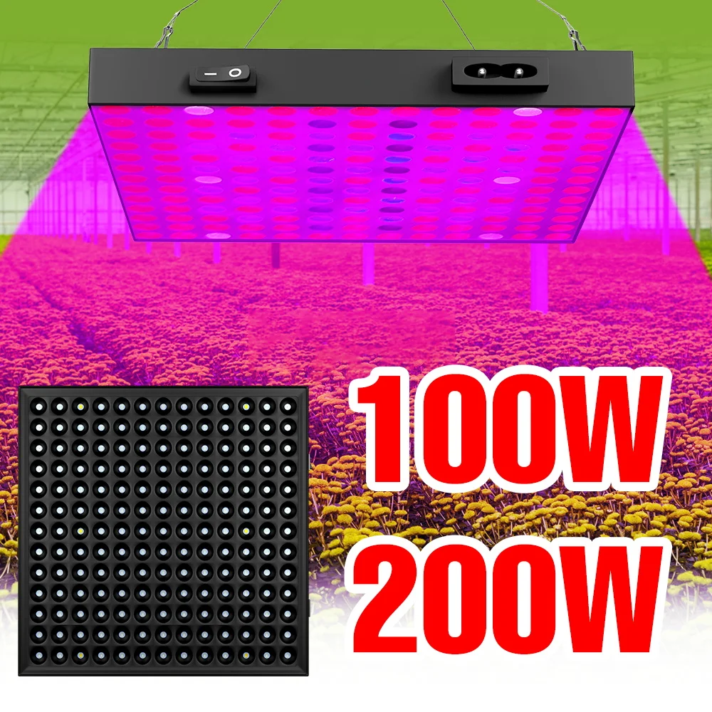 200W LED Full Spectrum Grow Light Indoor Quantum Board Plant Lamp UV/IR For Flowers Potted Greenhouse Tent Cultivation Lighting
200W LED Full Spectrum Grow Light Indoor Quantum Board Plant Lamp UV/IR For Flowers Potted Greenhouse Tent Cultivation Lighting