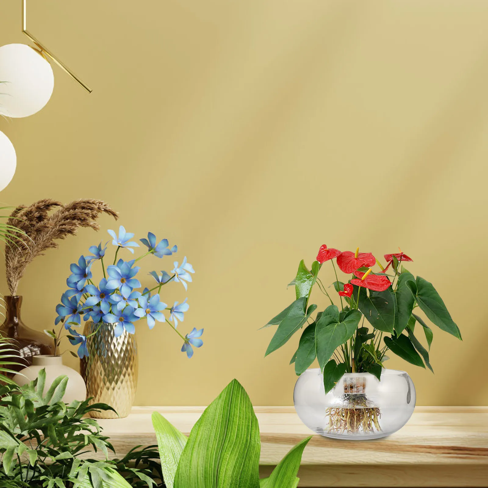 Glass Fish Bowl Planter Transparent Hydroponic Vase for Indoor Plants Modern Decorative Container Perfect for Cactus Money Plant
Glass Fish Bowl Planter Transparent Hydroponic Vase for Indoor Plants Modern Decorative Container Perfect for Cactus Money Plant