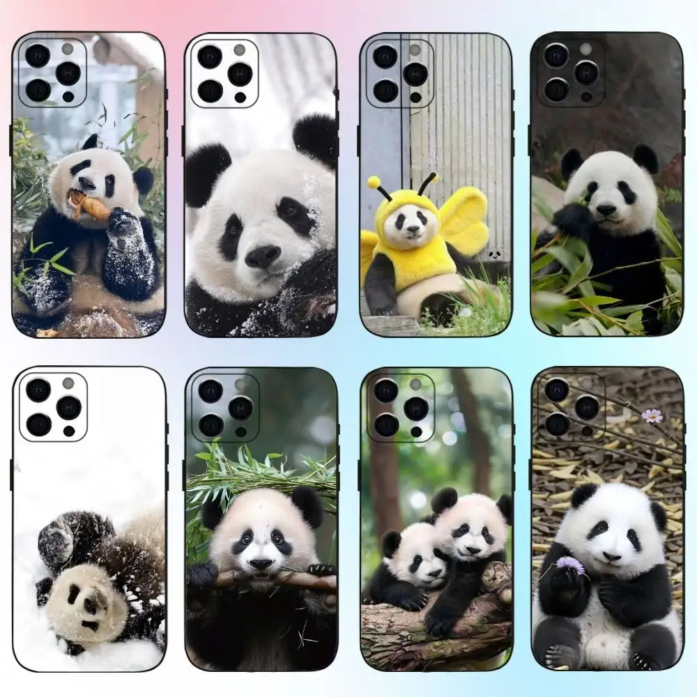 Animal Cute Panda Fubao Phone Case For iPhone17,16,15,14,13,12,11 Plus,Pro Max Soft Black Cover
Animal Cute Panda Fubao Phone Case For iPhone17,16,15,14,13,12,11 Plus,Pro Max Soft Black Cover