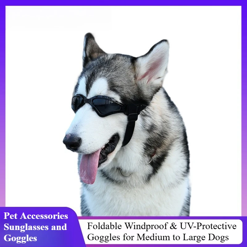 Pet Accessories Sunglasses Safety Goggles Foldable Windproof UV Protection Glasses for MediumTo Large Dogs dog supplies
Pet Accessories Sunglasses Safety Goggles Foldable Windproof UV Protection Glasses for MediumTo Large Dogs dog supplies