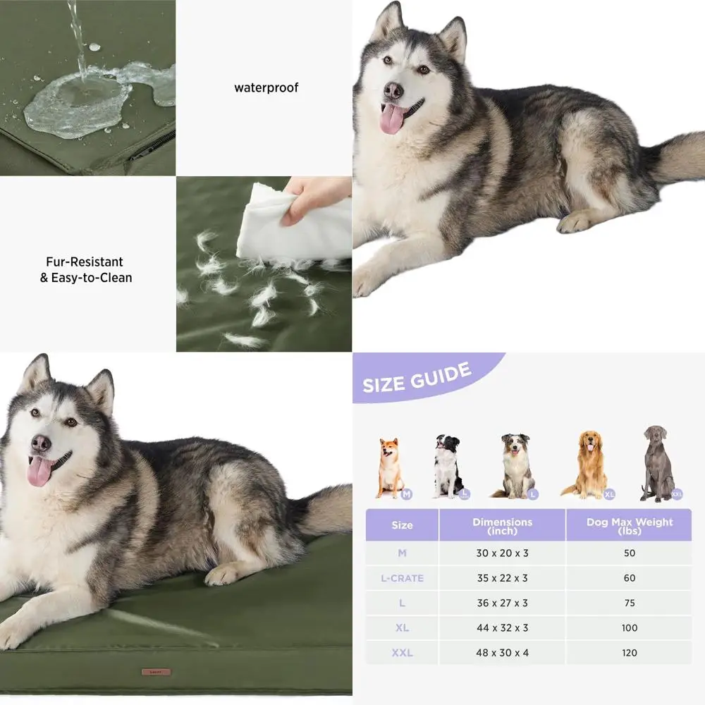 XXL Waterproof Orthopedic Dog Bed with Removable Cover, 48x30 Inches, Green
XXL Waterproof Orthopedic Dog Bed with Removable Cover, 48x30 Inches, Green