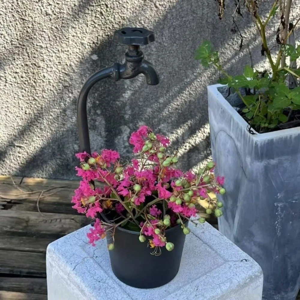 Rustic Metal Faucet Flowerpot Crack Resistant Artistic Garden Flower Pot Corrosion-Resistant Succulent Planters Home Decor
Rustic Metal Faucet Flowerpot Crack Resistant Artistic Garden Flower Pot Corrosion-Resistant Succulent Planters Home Decor