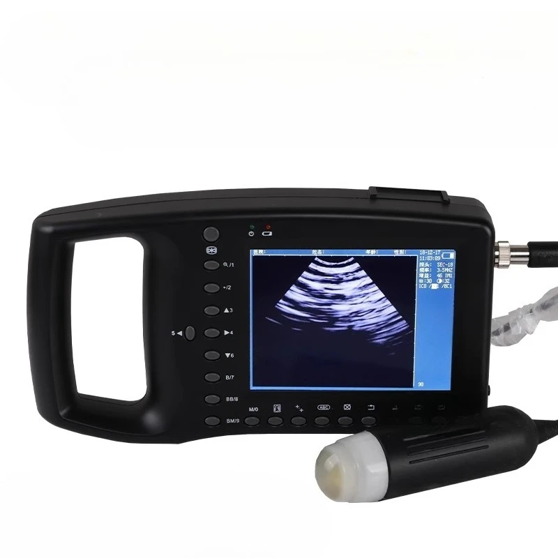 Портативный ультразвуковой сканер для коровы, свиней, головы, лошадиной фермы, портативный ультразвуковой аппарат для тестирования беременности
Портативный ультразвуковой сканер для коровы, свиней, головы, лошадиной фермы, портативный ультразвуковой аппарат для тестирования беременности