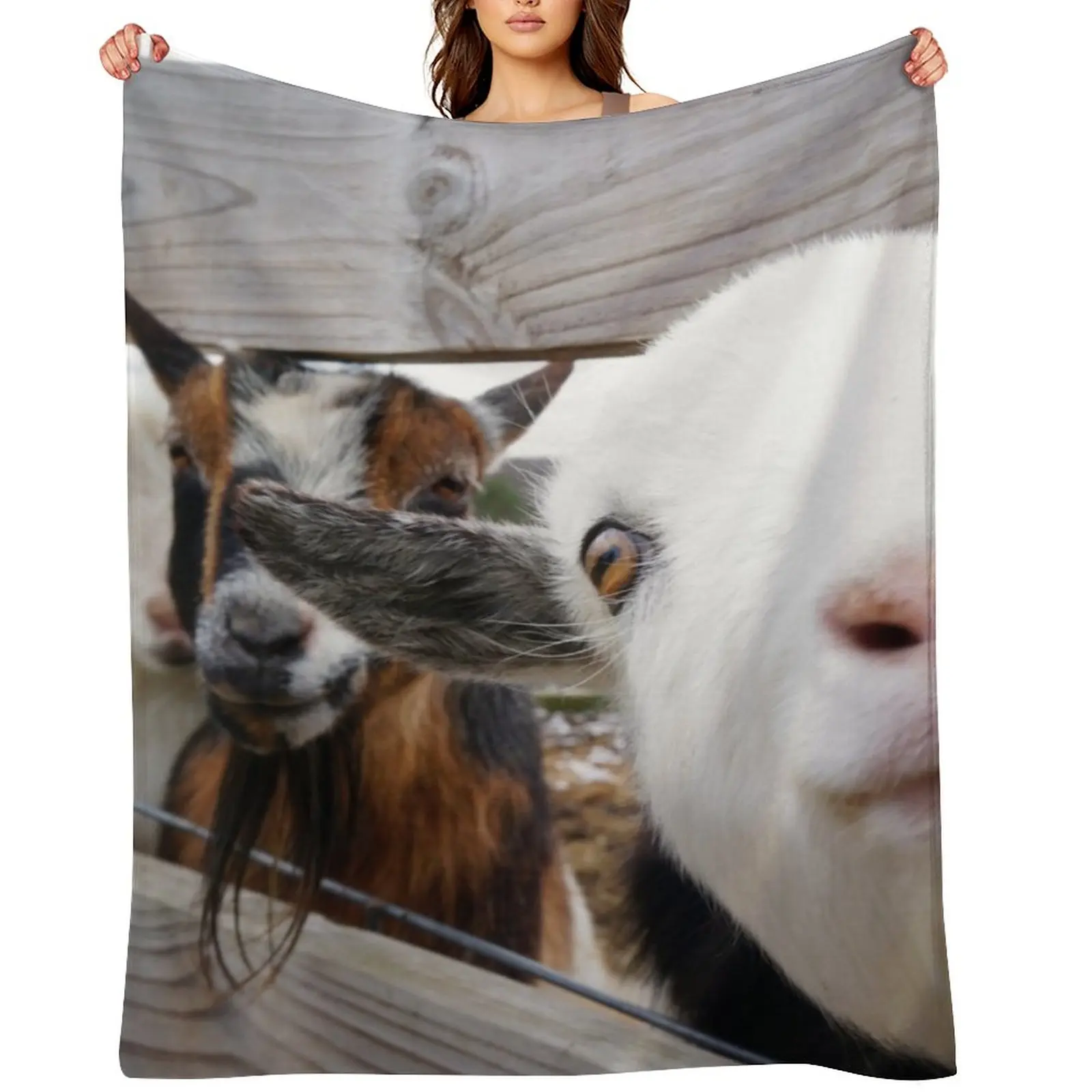 Friendly Goats Throw Blanket Sofas Sofa Quilt for winter Furry Blankets
Friendly Goats Throw Blanket Sofas Sofa Quilt for winter Furry Blankets