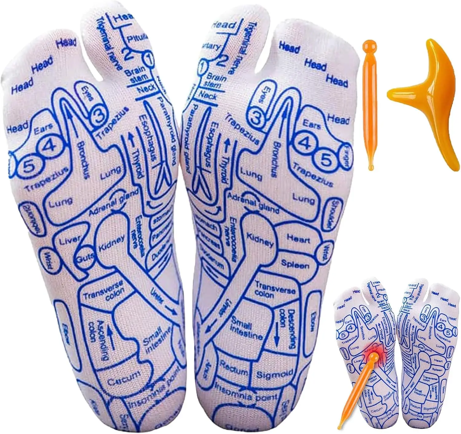 Reflexology Socks with Acupressure and Massage Tool Feet Acupuncture Point Massage for Relieve Fatigue Promote Blood Circulation
Reflexology Socks with Acupressure and Massage Tool Feet Acupuncture Point Massage for Relieve Fatigue Promote Blood Circulation