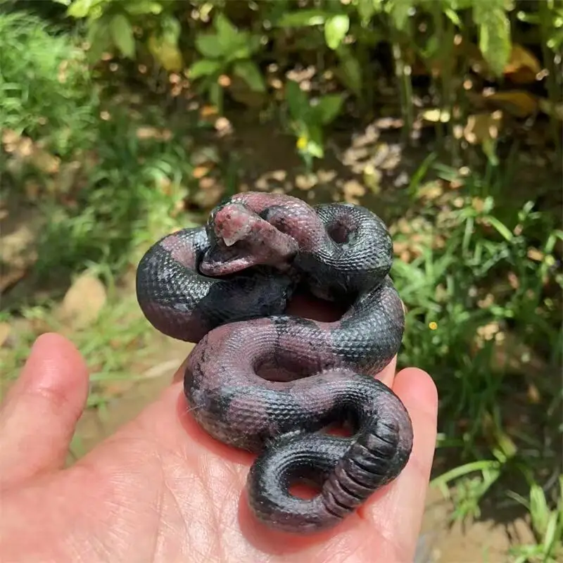 Natural Garnet Snake Carving Flashing Crystals Beautiful Gemstone For Home Decoration Collection Gift 1PCS
Natural Garnet Snake Carving Flashing Crystals Beautiful Gemstone For Home Decoration Collection Gift 1PCS