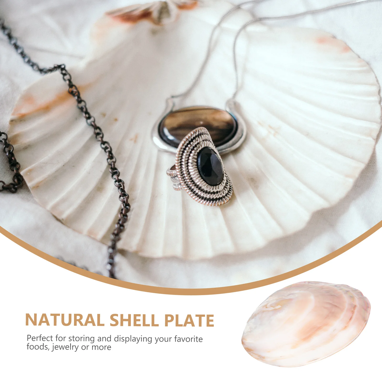 1Pcs Natural Sea Shell Decoration Conch Food Plate Stable Scraper Board Creative Unique Home Decoration
1Pcs Natural Sea Shell Decoration Conch Food Plate Stable Scraper Board Creative Unique Home Decoration