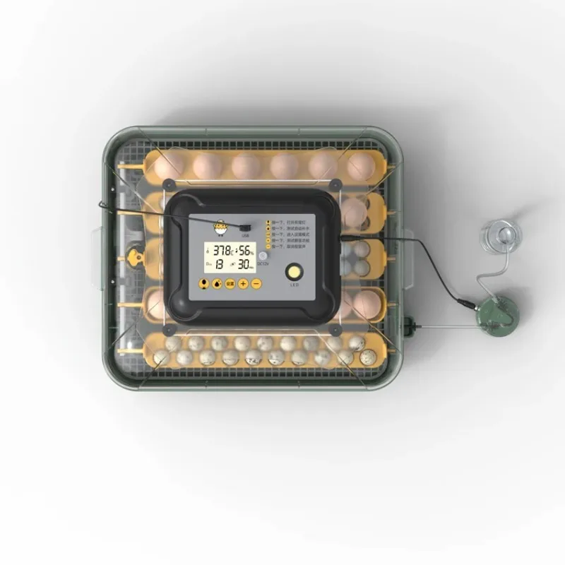 New 34 Hatcher Fully Automatic Chick Quail Incubators Mini Incubators for Hatching Eggs
New 34 Hatcher Fully Automatic Chick Quail Incubators Mini Incubators for Hatching Eggs