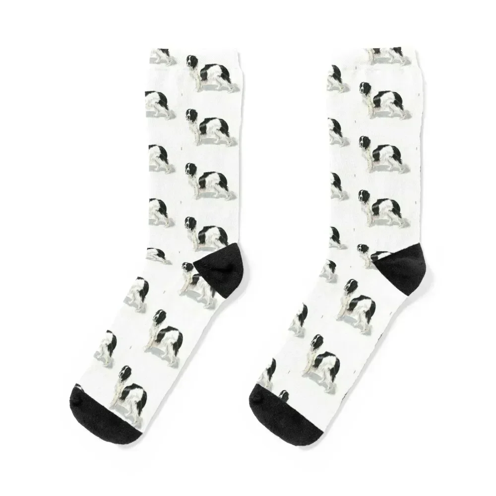 The Landseer Newfoundland Dog Socks fashionable set sports and leisure gym Socks Man Women's
The Landseer Newfoundland Dog Socks fashionable set sports and leisure gym Socks Man Women's