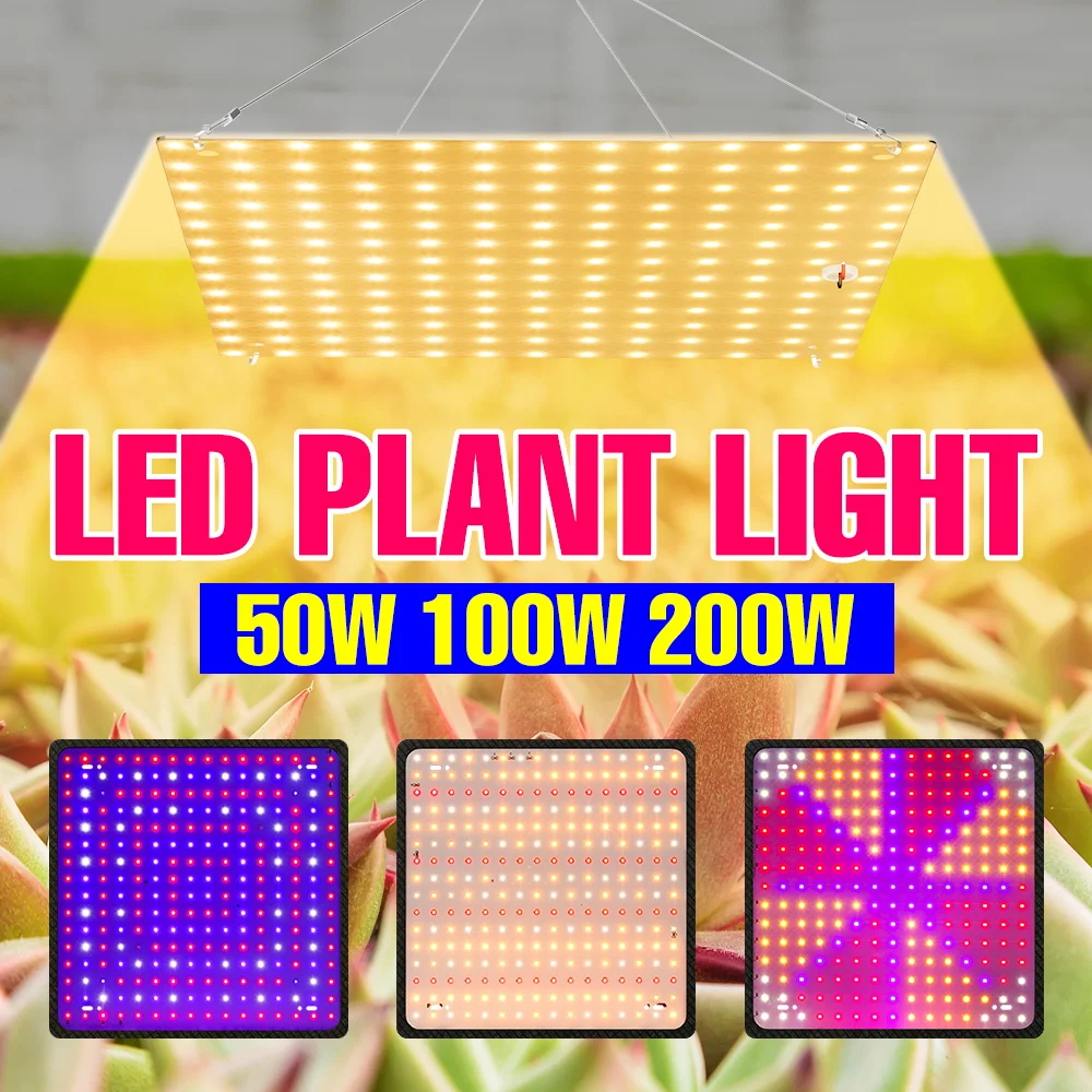 Светодиодная лампа для растений 200 Вт, полный спектр, Quantum Board, для гидропоники, для выращивания овощей и цветов в гроубоксах, с вилкой US/EU
Светодиодная лампа для растений 200 Вт, полный спектр, Quantum Board, для гидропоники, для выращивания овощей и цветов в гроубоксах, с вилкой US/EU