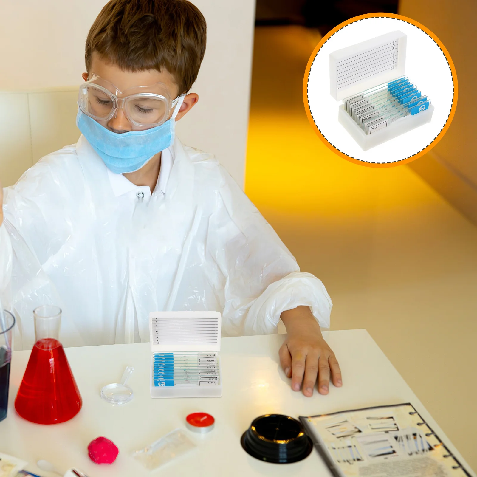 Microscope Slides with Prepared Specimens Sample Laboratory Transparent for Research Students
Microscope Slides with Prepared Specimens Sample Laboratory Transparent for Research Students