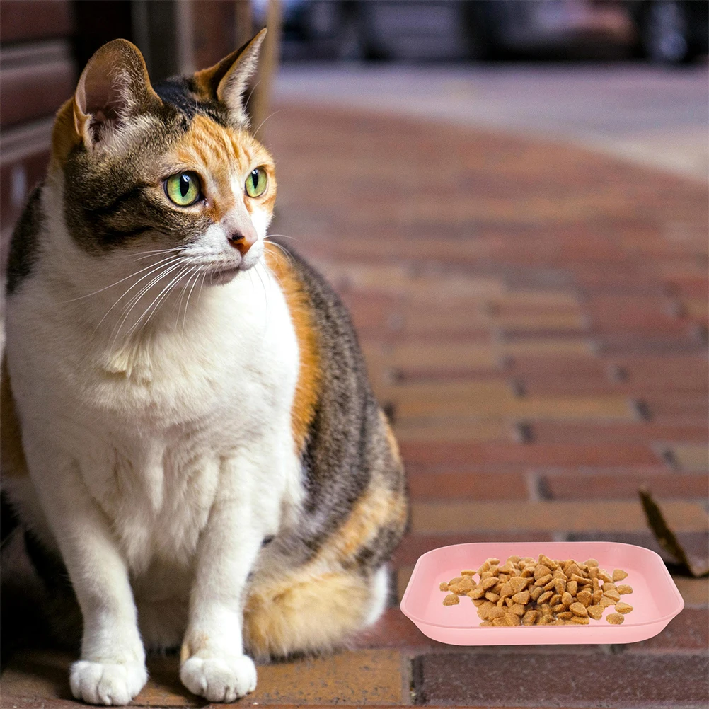 8pcs Cat Food Bowl Shallow Square Design For Kitten Short-Legged Cats Relieves Fatigue Pet Feeding Dish Wet Dry Food Water 
8pcs Cat Food Bowl Shallow Square Design For Kitten Short-Legged Cats Relieves Fatigue Pet Feeding Dish Wet Dry Food Water