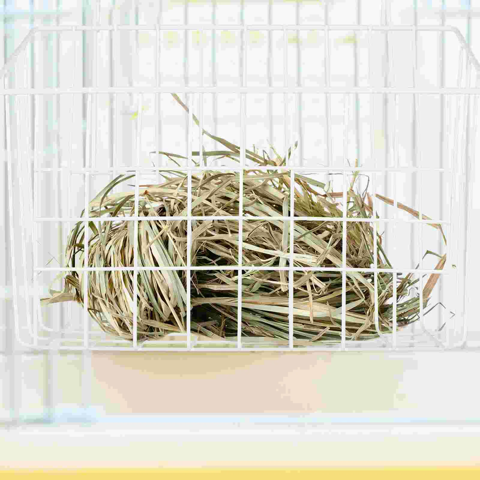 Rabbit Feeder Household Bunny Feeders Guinea Pig Accessories Iron Holder Wrought
Rabbit Feeder Household Bunny Feeders Guinea Pig Accessories Iron Holder Wrought