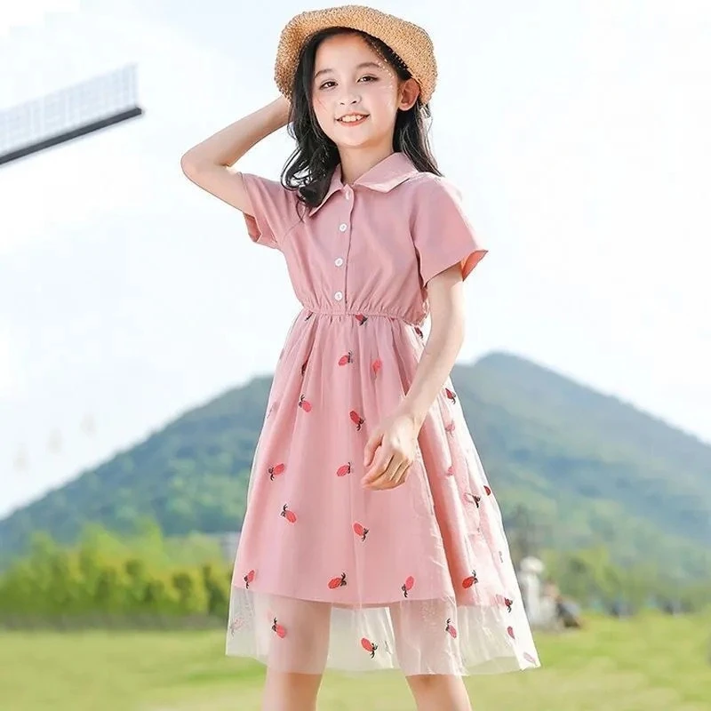 Girls' Mesh Princess Dress 2026 Summer New, Fashion Gown for Big Kids Breathable Casual Daily Wear
Girls' Mesh Princess Dress 2026 Summer New, Fashion Gown for Big Kids Breathable Casual Daily Wear